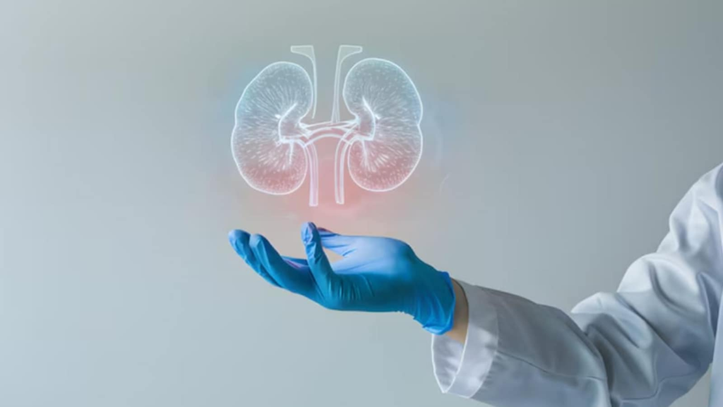 Nephrologist shares 7 tips to avoid kidney stones before they develop: What are oxalate-dense foods? | Health Nephrologist shares 7 tips to avoid kidney stones before they develop: What are oxalate-dense foods? | Health