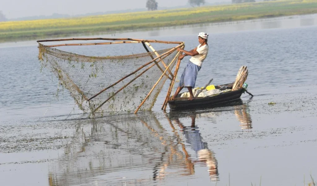 Bihar: आर्द्रभूमियों का संरक्षण कर रहे ‘वेटलैंड मित्र’, बनेंगे आर्द्रभूमि प्रहरी Bihar: आर्द्रभूमियों का संरक्षण कर रहे ‘वेटलैंड मित्र’, बनेंगे आर्द्रभूमि प्रहरी