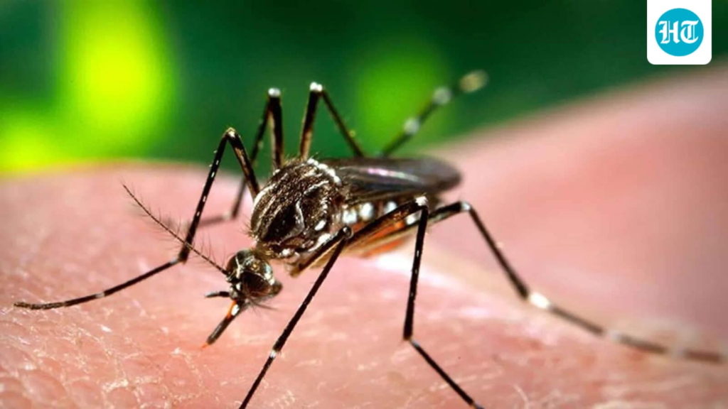 Paediatrician shares top foods and precautions to keep children safe from dengue