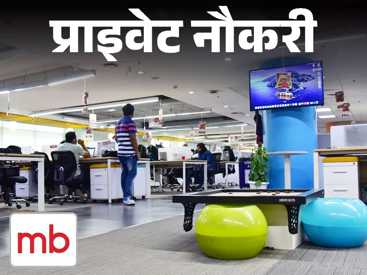 Magicbricks Recruitment for Business Manager, Graduates Can Apply, Multiple Job Locations | प्राइवेट नौकरी: Magicbricks में बिजनेस मैनेजर की वैकेंसी, ग्रेजुएट्स करें अप्लाई, मल्टिपल जॉब लोकेशन Magicbricks Recruitment for Business Manager, Graduates Can Apply, Multiple Job Locations | प्राइवेट नौकरी: Magicbricks में बिजनेस मैनेजर की वैकेंसी, ग्रेजुएट्स करें अप्लाई, मल्टिपल जॉब लोकेशन