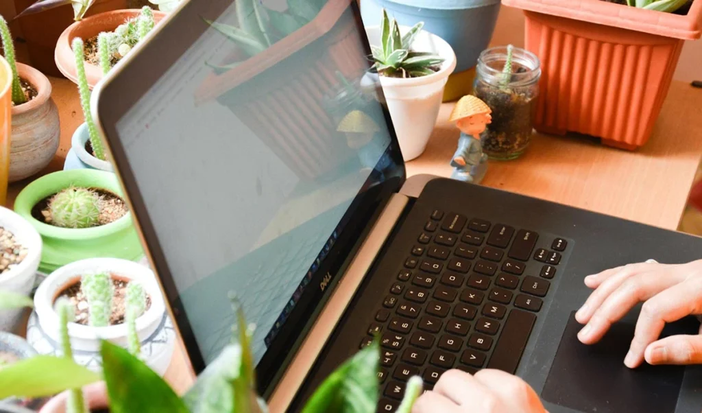 Tech Tips: फास्ट इंटरनेट के लिए राउटर को रखें पौधों से दूर, बढ़ेगी स्पीड 36% तक