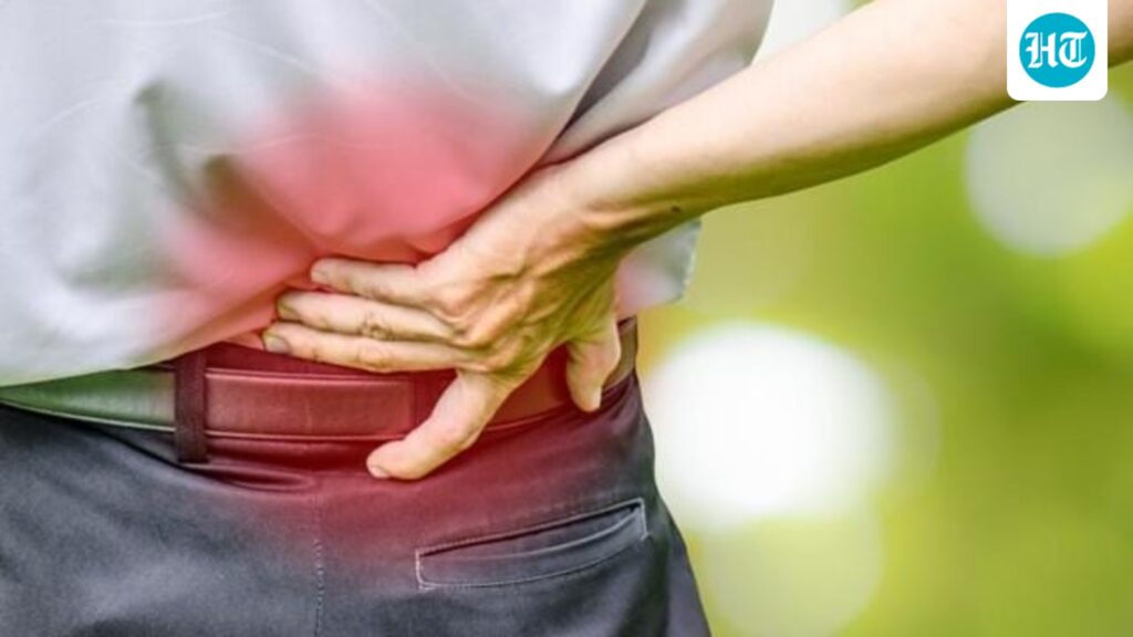 5 ortho experts share the top 5 joint issues people faced in 2025: Back pain, knee osteoarthritis and tech neck