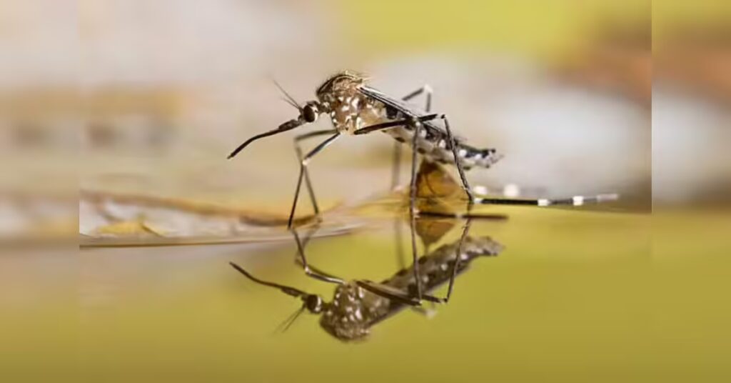 A Looming Health Catastrophe Driven by Climate Change, ETHealthworld