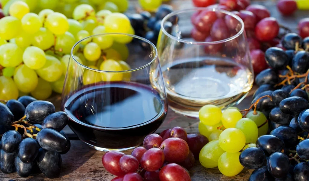 Beginner Wine Making Guide । क्रिसमस-नए साल पर चखें घर की बनी वाइन का स्वाद, 21 दिन में यूं करें तैयार