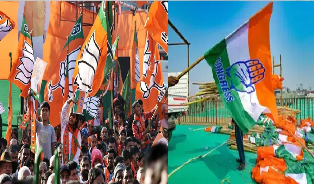 Goa Zilla Panchayat Election Results: होंडा से भाजपा के नामदेव जीते, डावोरलीम से कांग्रेस की फ्लोरिना ने मारी बाजी