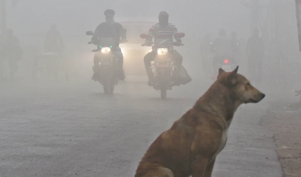Uttar Pradesh Fog Red Alert | उत्तर प्रदेश के कुछ हिस्सों में घना कोहरा और कड़ाके की ठंड का पूर्वानुमान