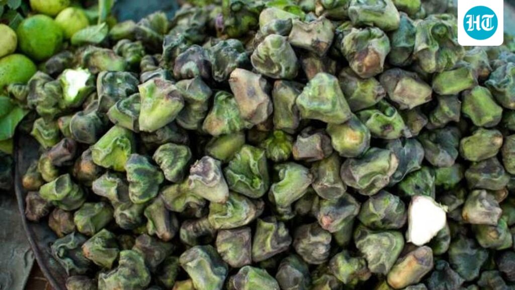 Water chestnuts are a guilt-free snack: Nutritionist shares 5 reasons to add singhara to your winter diet