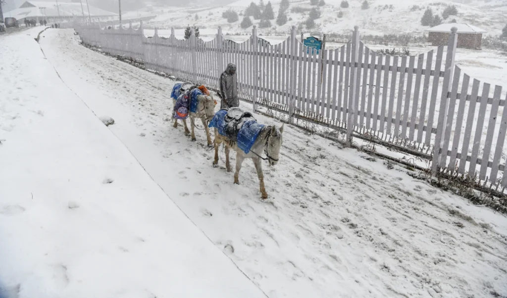 Kashmir Valley | कश्मीर में शीतलहर से थोड़ी राहत मिली, ‘चिल्ला-ए-कलां’ का दौर अब भी जारी Kashmir Valley | कश्मीर में शीतलहर से थोड़ी राहत मिली, ‘चिल्ला-ए-कलां’ का दौर अब भी जारी