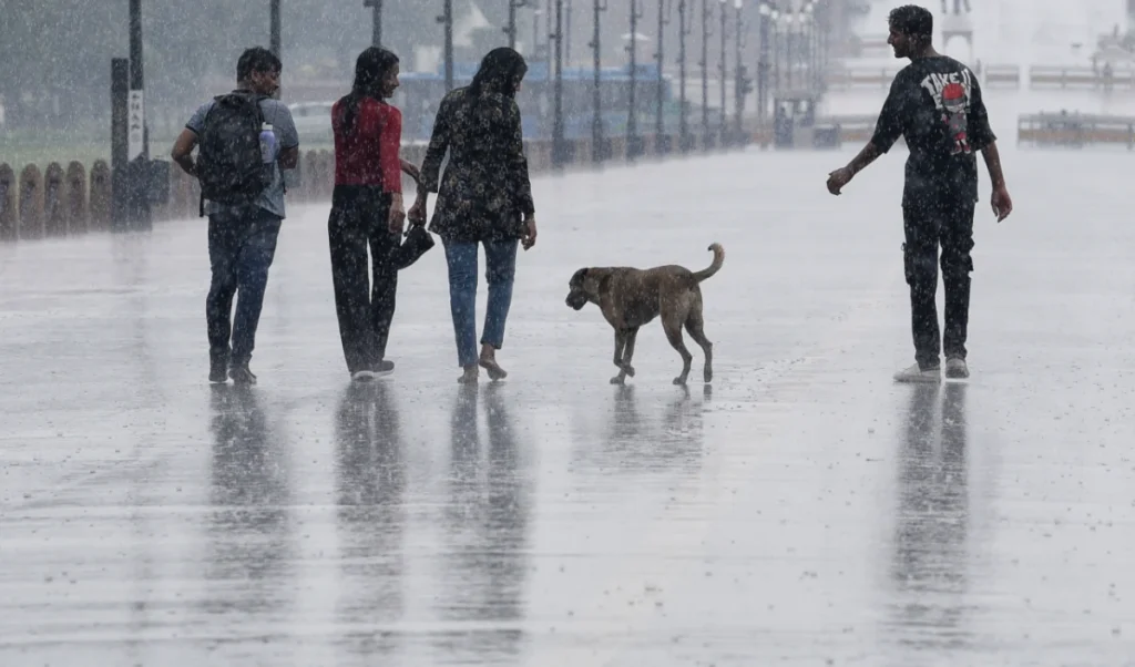 Punjab और Haryana में बारिश, न्यूनतम तापमान में बढ़ोतरी