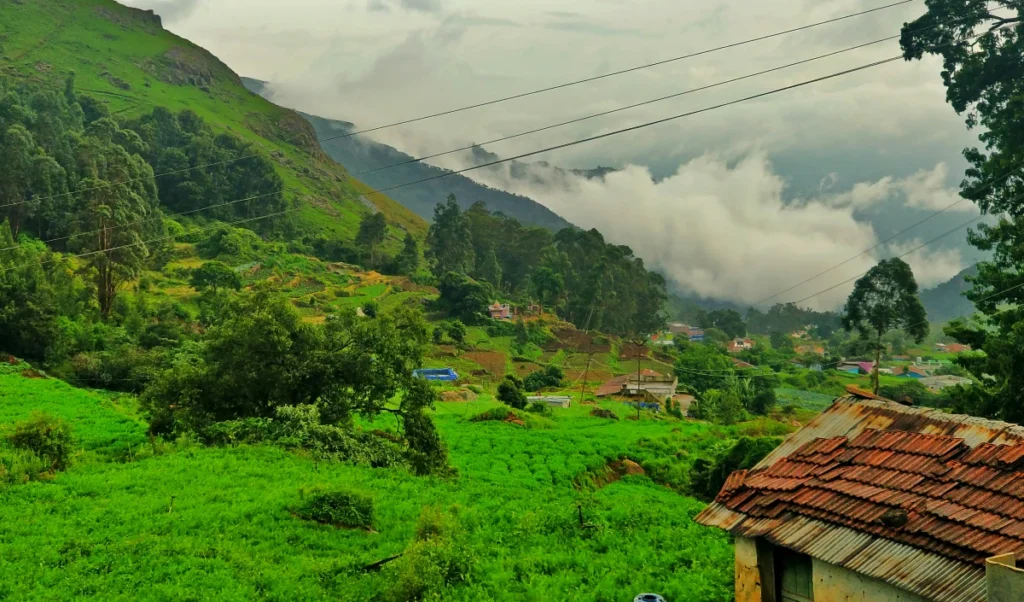 irctc ooty tour budget friendly or overpriced