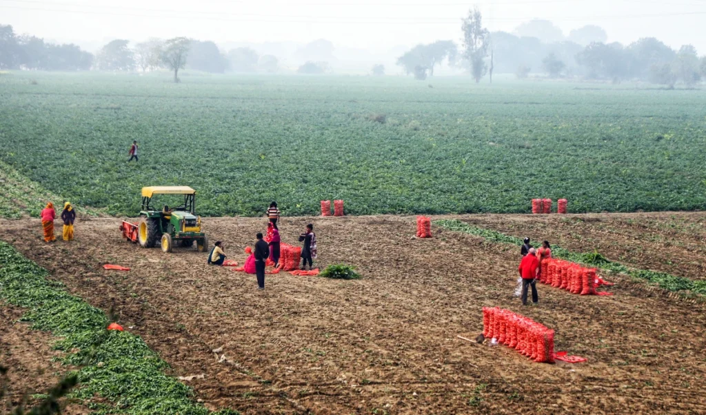 Budget 2025: अब AI करेगा किसानों की मदद, वित्त मंत्री का ‘भारत विस्तार’ मास्टर प्लान, नारियल और काजू किसानों की भी बल्ले-बल्ले