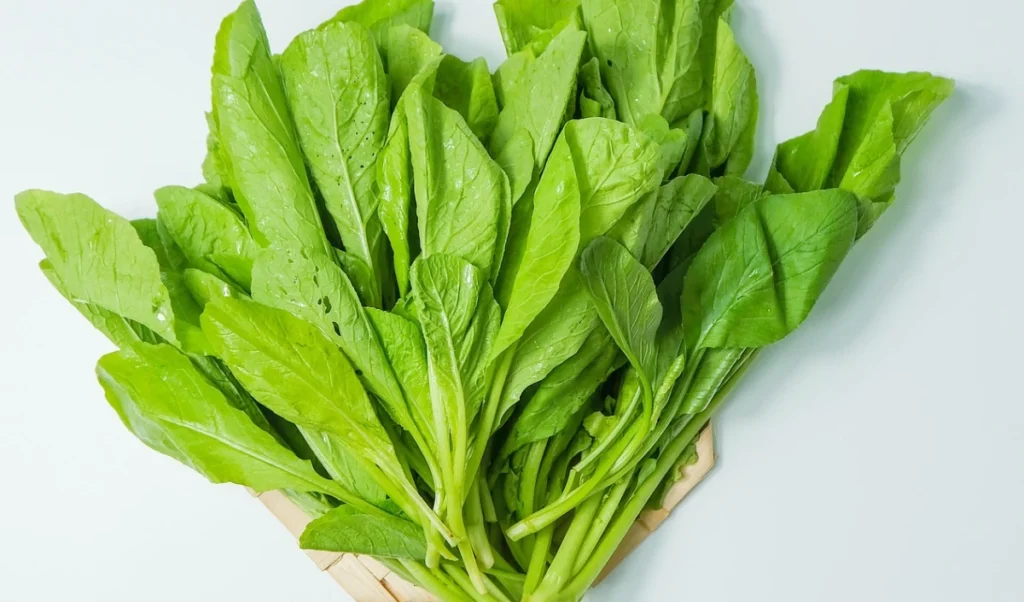 Fatty Liver को न करें नजरअंदाज! जानें कैसे करें Reverse, ये 5 चीजें हैं रामबाण इलाज