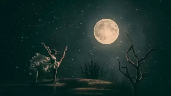 Phalguna Amavasya 2026: Will there be a solar eclipse on February 16 or 17? Know correct date, shubh muhurat and rituals Phalguna Amavasya 2026: Will there be a solar eclipse on February 16 or 17? Know correct date, shubh muhurat and rituals