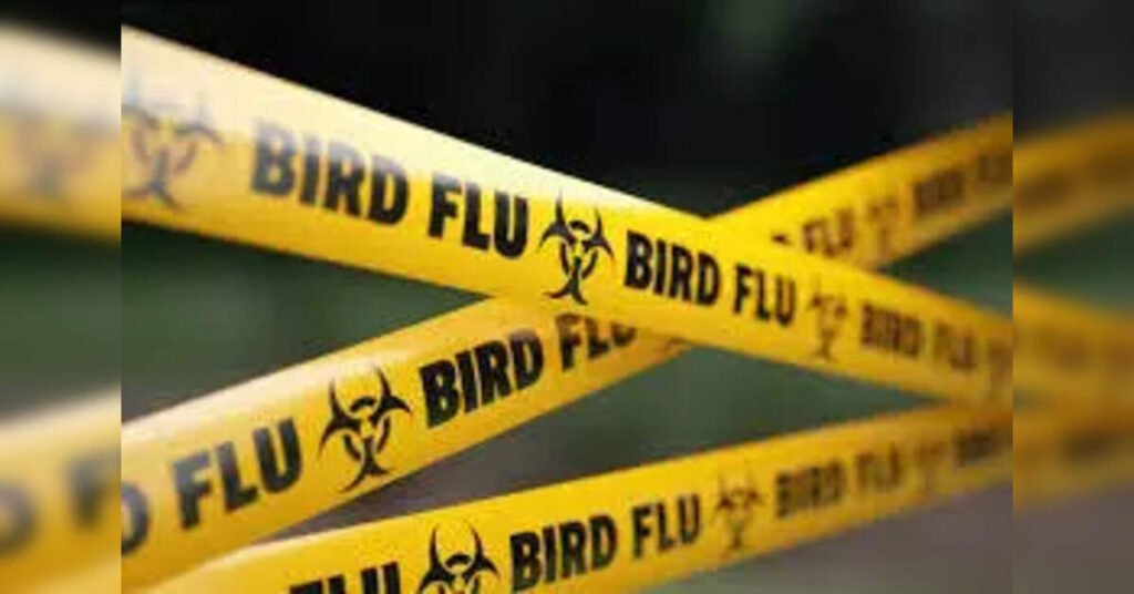 Tamil Nadu Government Addresses Bird Flu Concerns Amid Public Fear, ETHealthworld