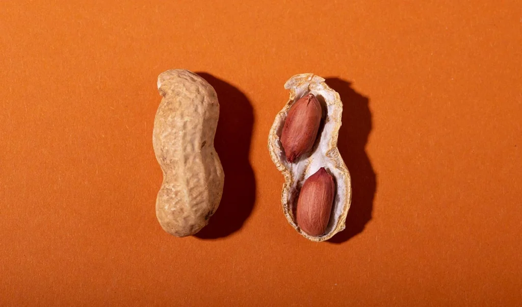 मूंगफली के छिलकों को फेंकने की जगह इन तरीकों से करें इस्तेमाल