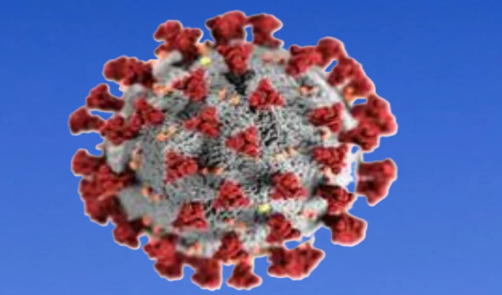 America में COVID के New Variant BA.3.2 का कहर, 75 म्यूटेशन वाला वायरस कितना खतरनाक?