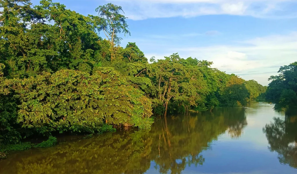 Assam Profile: असम के इतिहास से जुड़े हैं ये रोचक तथ्य, यहां समझिए Assam Profile: असम के इतिहास से जुड़े हैं ये रोचक तथ्य, यहां समझिए