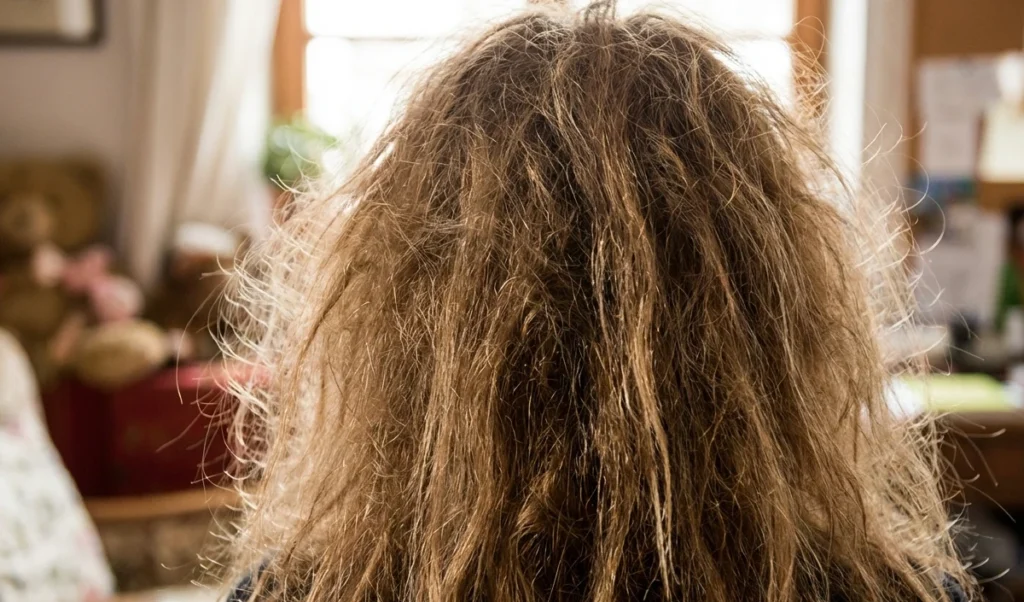 Frizzy Hair से हैं परेशान? यह Homemade Beauty Hack रूखे बालों में डाल देगा नई जान