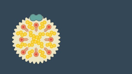 High LDL? UK surgeon shares 4 foods that can help lower bad cholesterol levels naturally: Fibre, unsaturated fats, more High LDL? UK surgeon shares 4 foods that can help lower bad cholesterol levels naturally: Fibre, unsaturated fats, more