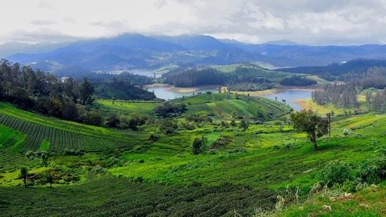 10 road trips from Bengaluru that are ‘under 10 hours and actually feel like a vacation’: Wayanad, Ooty to Gokarna 10 road trips from Bengaluru that are ‘under 10 hours and actually feel like a vacation’: Wayanad, Ooty to Gokarna