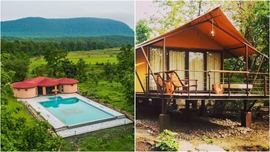 Bhopal’s best-kept wildlife secret lies just an hour from the city: 100 bird species, 18 mammals and not a single TV Bhopal’s best-kept wildlife secret lies just an hour from the city: 100 bird species, 18 mammals and not a single TV