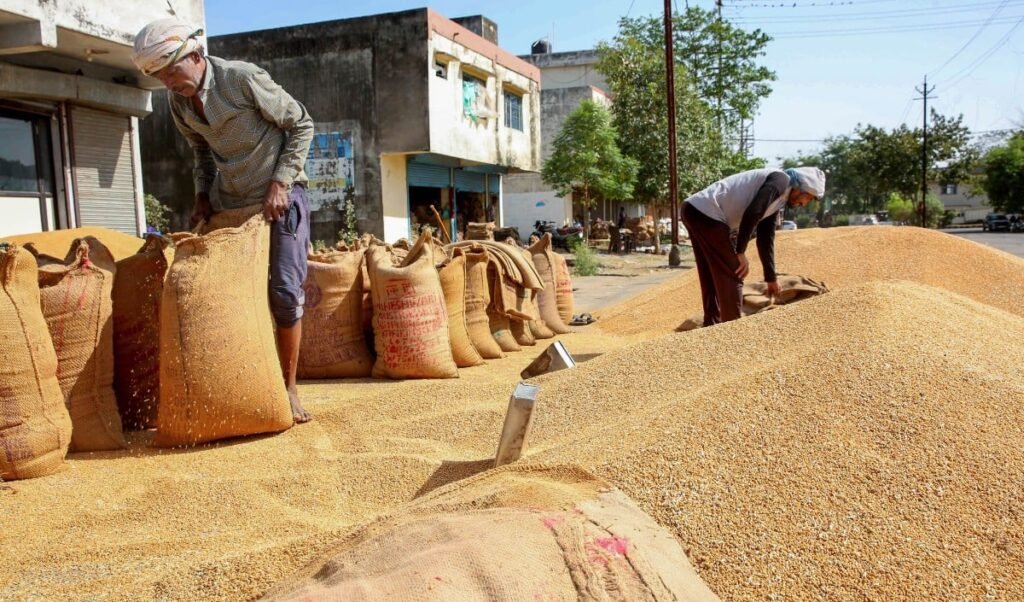 Food Security पर केंद्र का बड़ा बयान, ‘Buffer Stock से 3 गुना ज़्यादा अनाज, चिंता की बात नहीं’