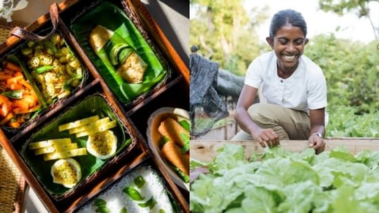 New plates, traditional ingredients: How chefs are reinventing roots and grains for the modern palate New plates, traditional ingredients: How chefs are reinventing roots and grains for the modern palate