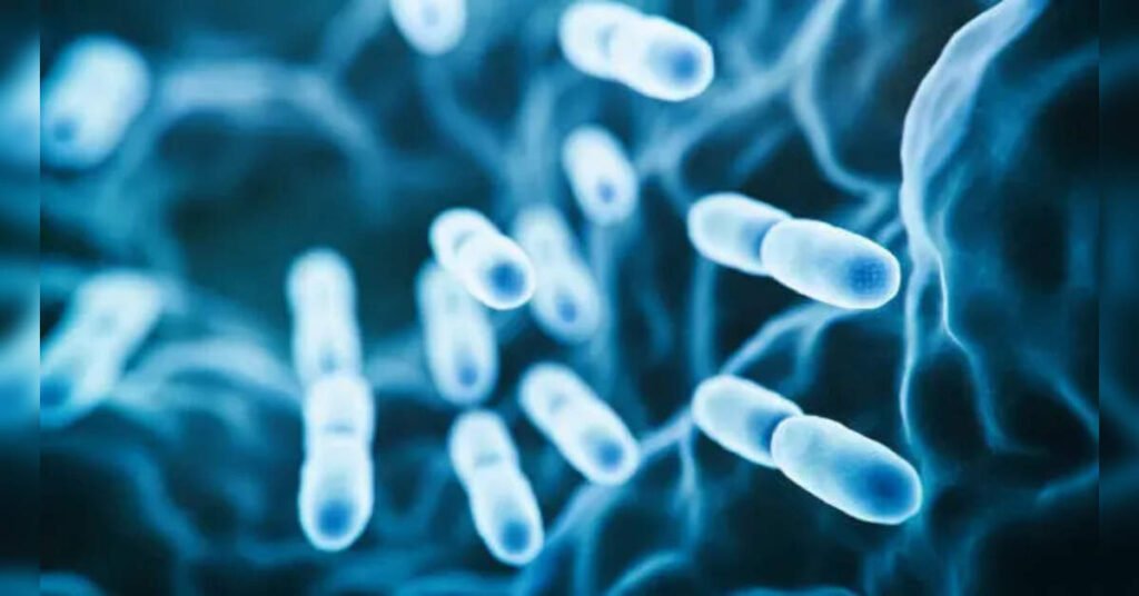 Study Finds Diverse Gut Bacteria Linked to Higher Stress Reactivity, ETHealthworld