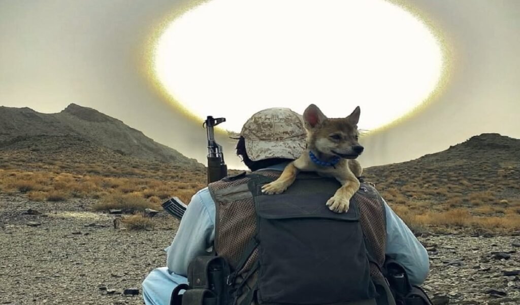 बलोचों का ऐलान, अगर हुए आजाद तो भारत को देंगे 3 जबरदस्त चीजें !