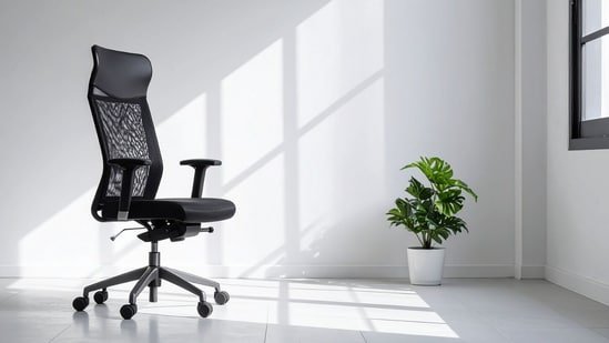 8 ergonomic office chairs to support your spine health while you ace your 9 to 5 desk job 8 ergonomic office chairs to support your spine health while you ace your 9 to 5 desk job
