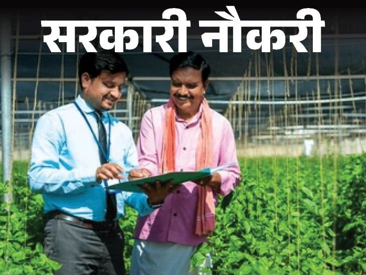 BRO, LIC HFL, MCL Recruitment 2026 BRO, LIC HFL, MCL Recruitment 2026