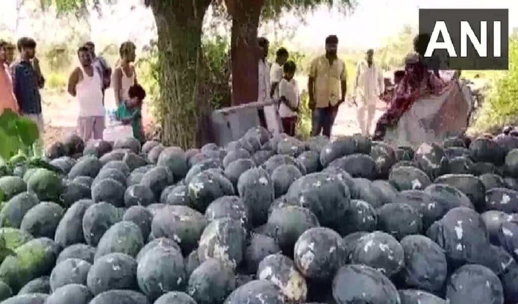 Chhattisgarh में शादी का जश्न मातम में बदला, Watermelon खाने से किशोर की मौत, 4 की हालत गंभीर Chhattisgarh में शादी का जश्न मातम में बदला, Watermelon खाने से किशोर की मौत, 4 की हालत गंभीर
