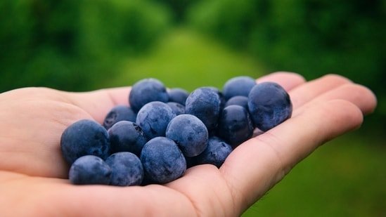 Do blueberries help reduce osteoporosis risk? Orthopaedic expert weighs in Do blueberries help reduce osteoporosis risk? Orthopaedic expert weighs in