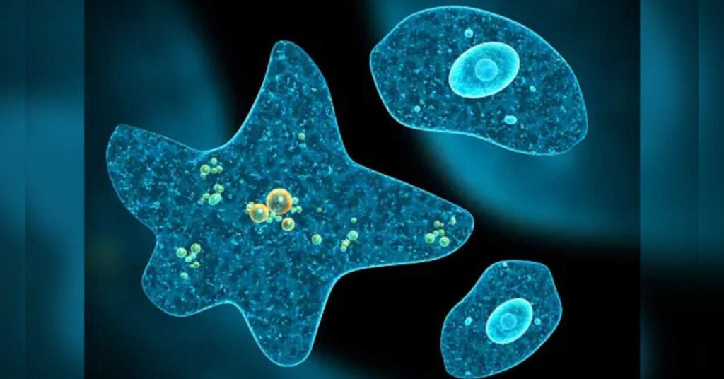 Free-Living Amoebae on the Rise, ETHealthworld