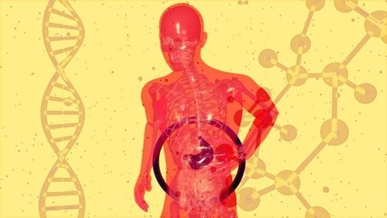 From fibremaxxing to gut-brain axis wellness, these 5 gut health trends are shaping wellness in 2026 From fibremaxxing to gut-brain axis wellness, these 5 gut health trends are shaping wellness in 2026
