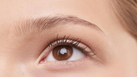 Is your daily screen time putting your vision at risk? The hidden danger of delaying eye check-ups in working adults Is your daily screen time putting your vision at risk? The hidden danger of delaying eye check-ups in working adults