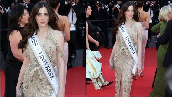 Miss Universe Fatima Bosch makes elegant Cannes debut, proudly flaunting her sash in dreamy, floral-embellished gown Miss Universe Fatima Bosch makes elegant Cannes debut, proudly flaunting her sash in dreamy, floral-embellished gown