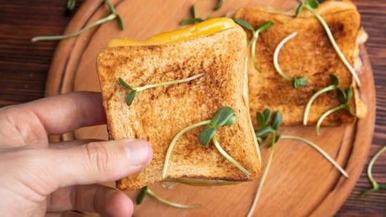 Probiotic Boosted Bread Besan Toast With Fresh Herbs And High Protein For Vegetarian Morning Meals Probiotic Boosted Bread Besan Toast With Fresh Herbs And High Protein For Vegetarian Morning Meals