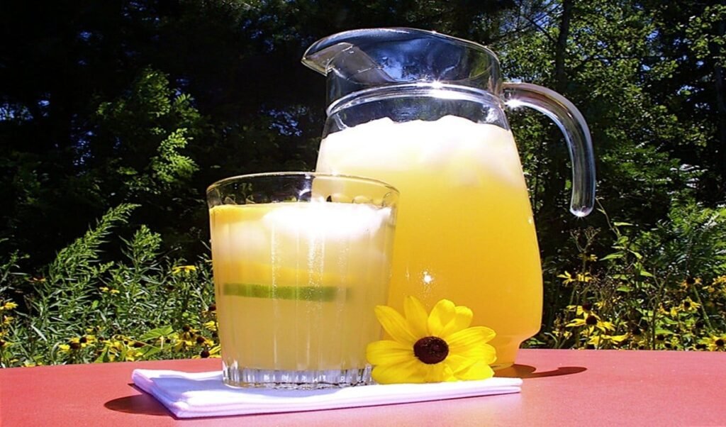 Summer Drinks: लू और तपती गर्मी से बचना है तो पिएं ये 5 देसी Drinks, मिलेगा इंस्टेंट Cooling Effect Summer Drinks: लू और तपती गर्मी से बचना है तो पिएं ये 5 देसी Drinks, मिलेगा इंस्टेंट Cooling Effect
