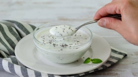 Thick Greek Yoghurt Raita With Omega Rich Seeds For Refreshing Everyday Summer Meals Thick Greek Yoghurt Raita With Omega Rich Seeds For Refreshing Everyday Summer Meals