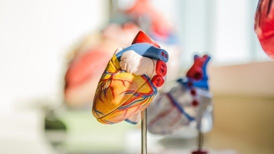 Think you’re too young to worry about your heart? Heart surgeon with 25 years of experience debunks 3 health myths Think you’re too young to worry about your heart? Heart surgeon with 25 years of experience debunks 3 health myths