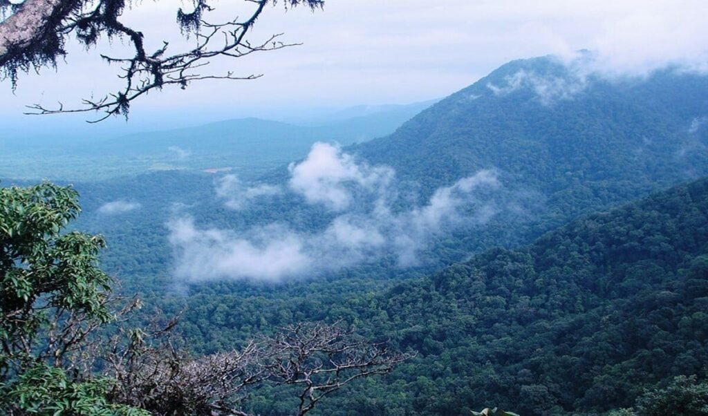 Travel Tips: भीषण गर्मी से चाहिए राहत? South India के ये 5 Hill Station हैं Perfect Summer Destination