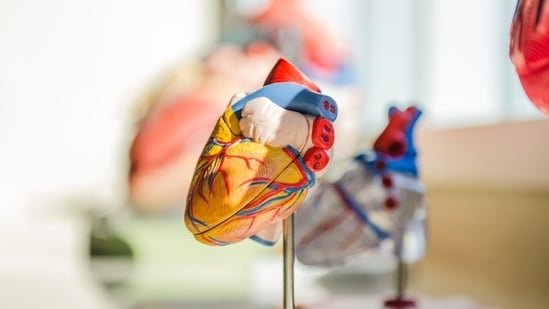 What is atrial fibrillation? Heart surgeon with 25 years of experience shares why it’s dangerous and how to treat it What is atrial fibrillation? Heart surgeon with 25 years of experience shares why it’s dangerous and how to treat it