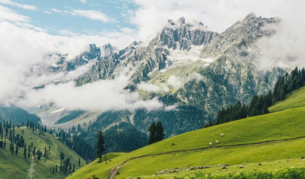 irctc budget kashmir tour package live under 30k