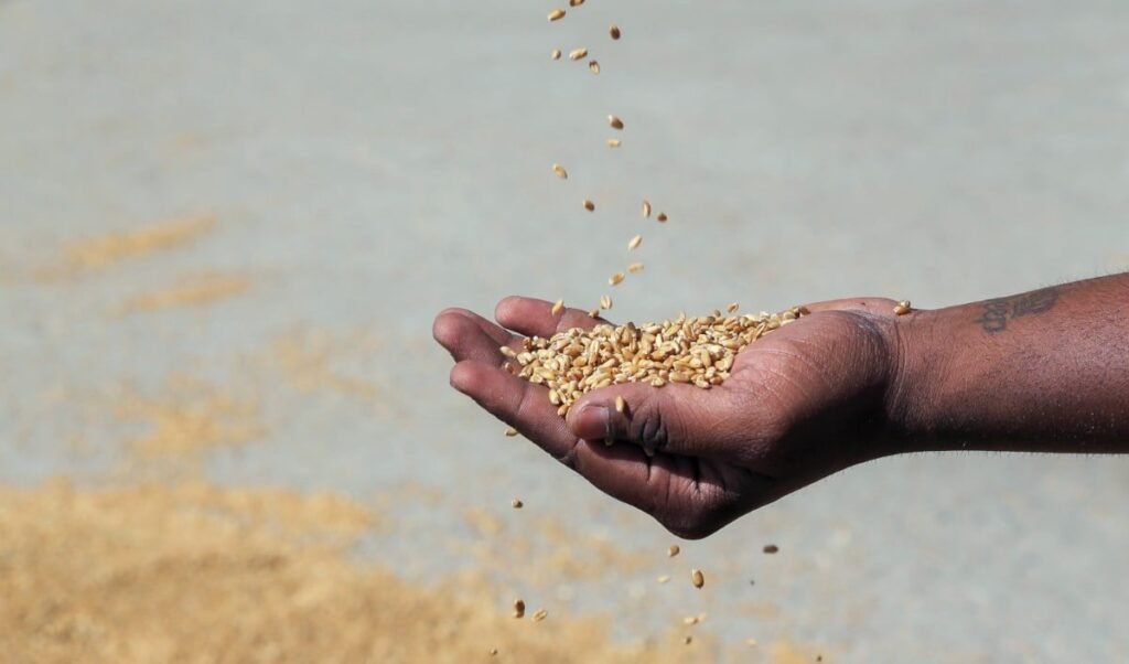 pakistan faces a severe food crisis 40 of mills in rawalpindi and islamabad are closed