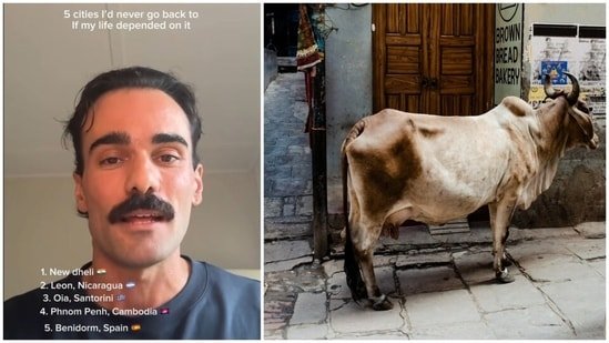 Australian tourist ranks this major Indian city as the number 1 place he will never visit again: ‘Cows on road…’ Australian tourist ranks this major Indian city as the number 1 place he will never visit again: ‘Cows on road…’