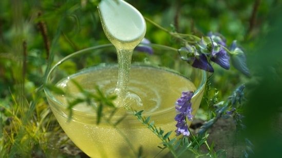 Dietitian shares why a spoonful of ghee in the morning may improve digestion and support healthier-looking skin Dietitian shares why a spoonful of ghee in the morning may improve digestion and support healthier-looking skin