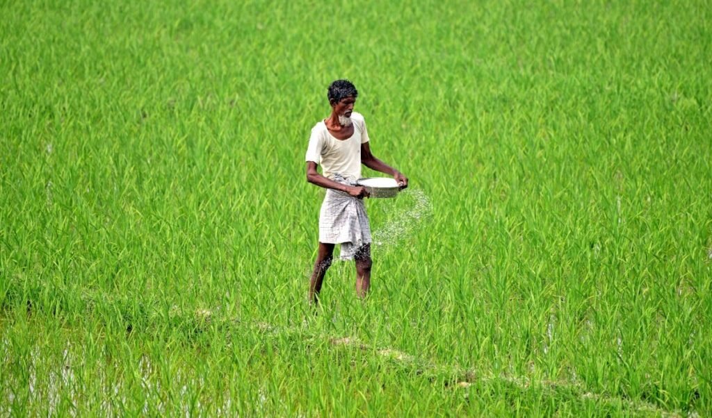 Kharif 2026 के लिए भरपूर Fertilizer Stock, Govt की Planning ने दूर की Supply चिंता Kharif 2026 के लिए भरपूर Fertilizer Stock, Govt की Planning ने दूर की Supply चिंता