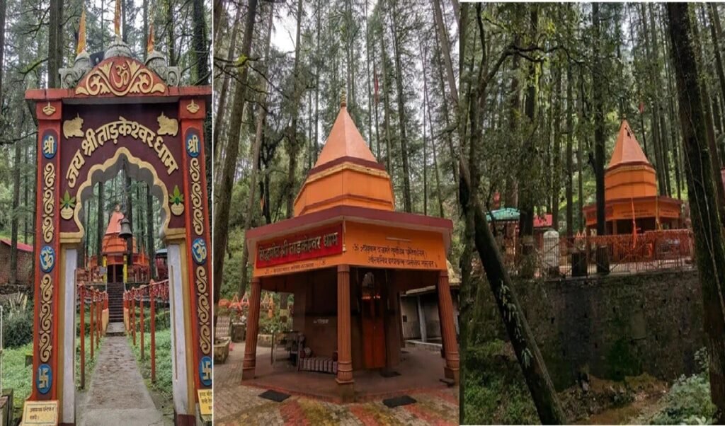 Lansdowne का यह 'गुप्त' शिव मंदिर है Perfect Weekend Getaway, गर्मियों में मिलेगा सुकून Lansdowne का यह 'गुप्त' शिव मंदिर है Perfect Weekend Getaway, गर्मियों में मिलेगा सुकून