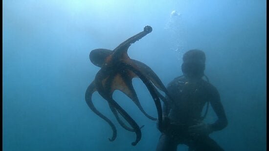 Reel of fortune: Fishermen turn content creators, capturing life at sea Reel of fortune: Fishermen turn content creators, capturing life at sea